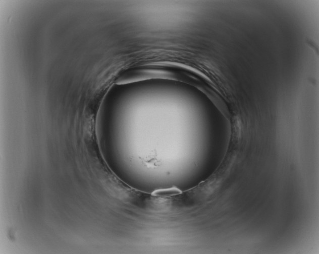 X0000099460325200805161053