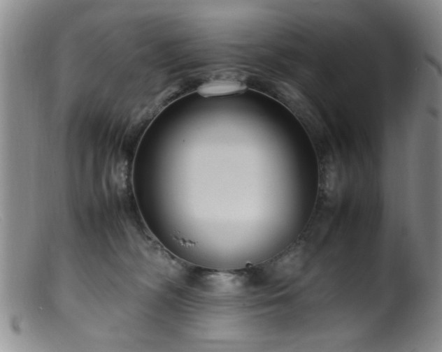 X0000099460326200805161053