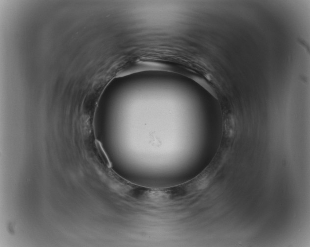 X0000099460327200805161053