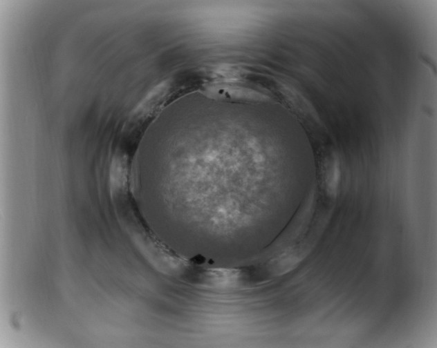 X0000099460328200805161053