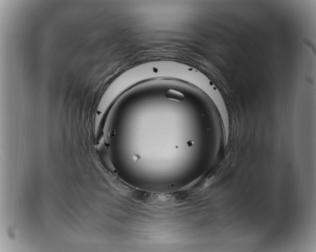 X0000099460329200805161053