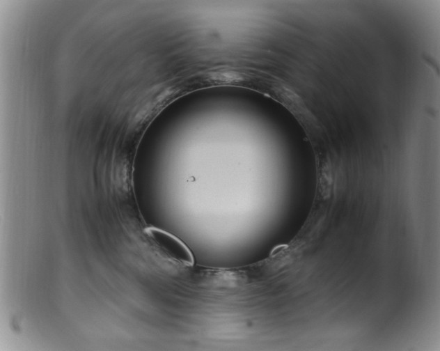 X0000099460330200805161053