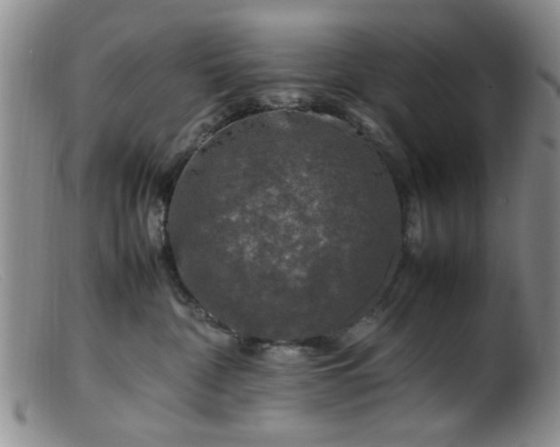 X0000099460332200805161053