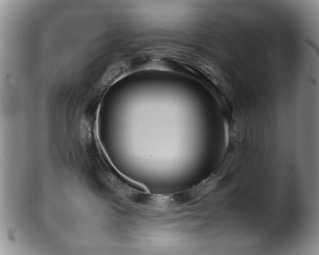 X0000099460333200805161053