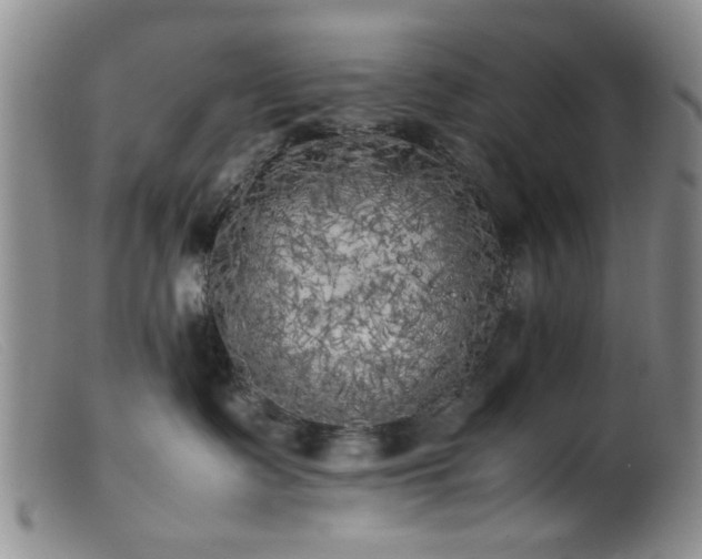 X0000099460335200805161053
