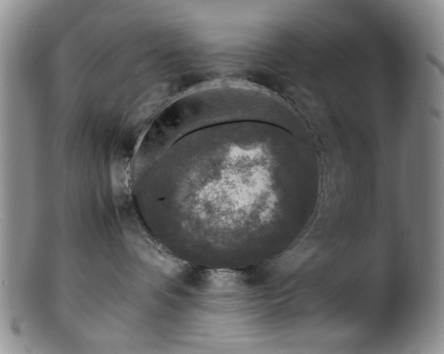 X0000099460336200805161053