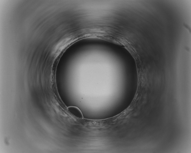 X0000099460338200805161052