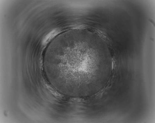 X0000099460339200805161052