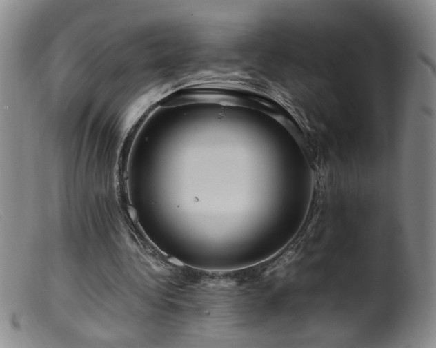 X0000099460340200805161052