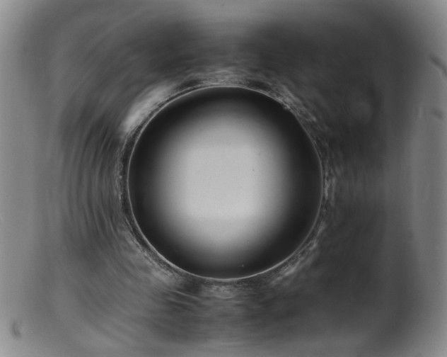 X0000099460341200805161052