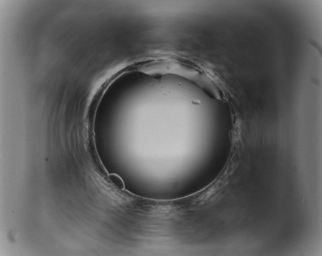 X0000099460342200805161052