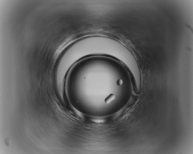 X0000099460344200805161052