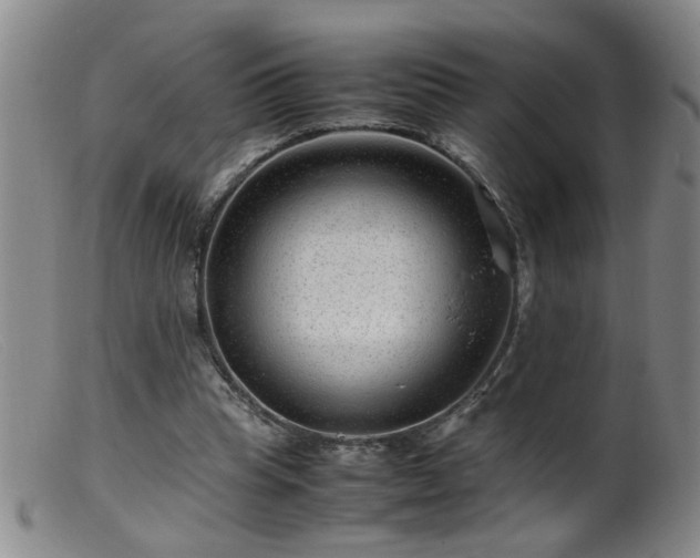 X0000099460345200805161052