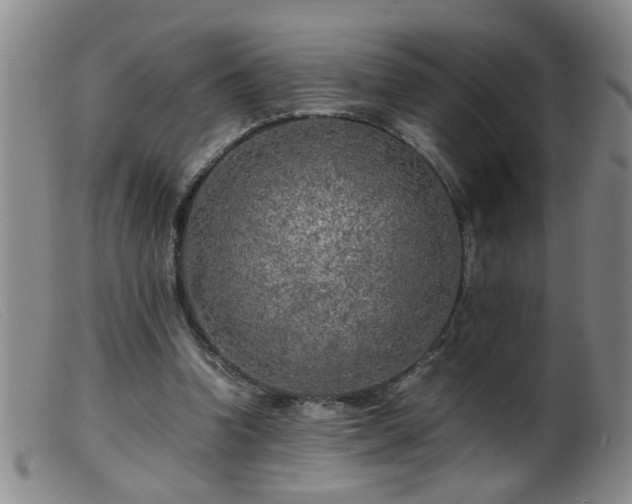 X0000099460346200805161052