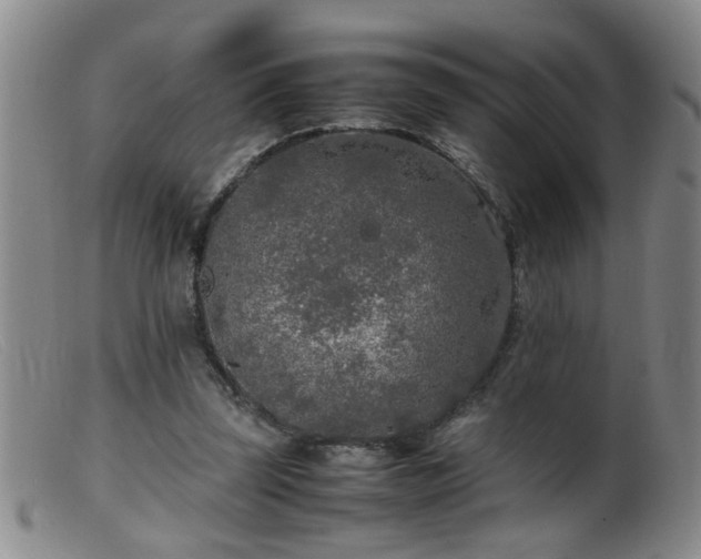 X0000099460347200805161052