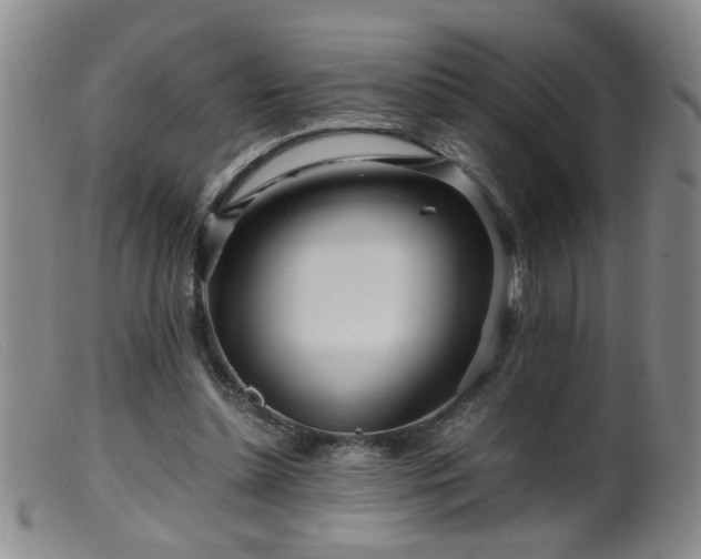 X0000099460348200805161052