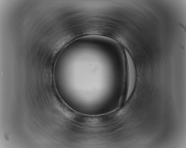 X0000099460349200805161052