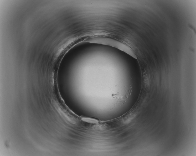 X0000099460350200805161052