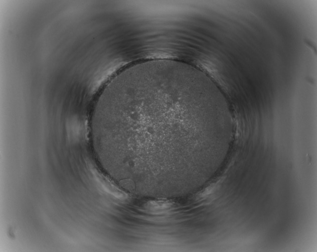 X0000099460351200805161052