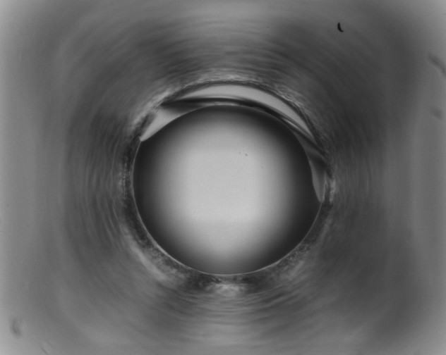 X0000099460352200805161052