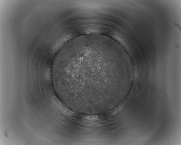 X0000099460353200805161052