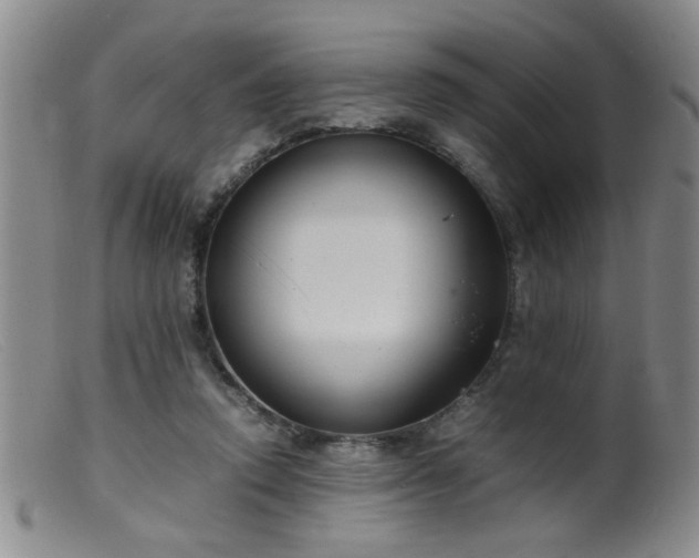 X0000099460354200805161052