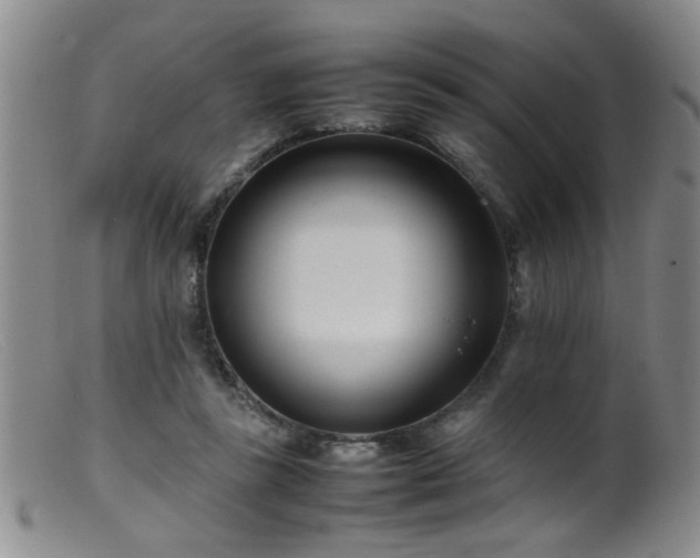 X0000099460355200805161052