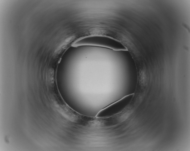 X0000099460356200805161052