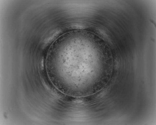 X0000099460358200805161052