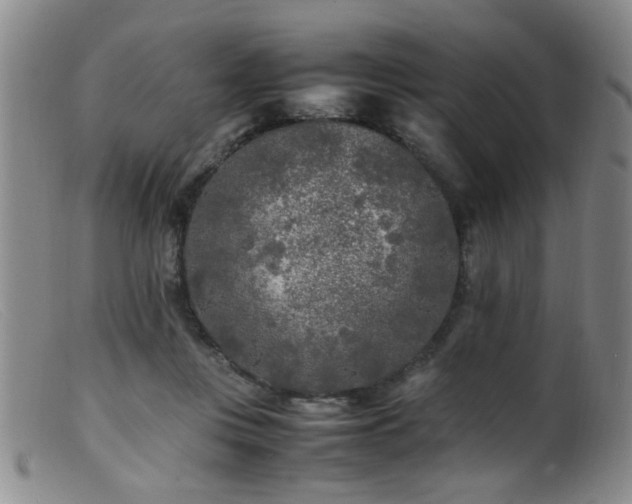 X0000099460359200805161052