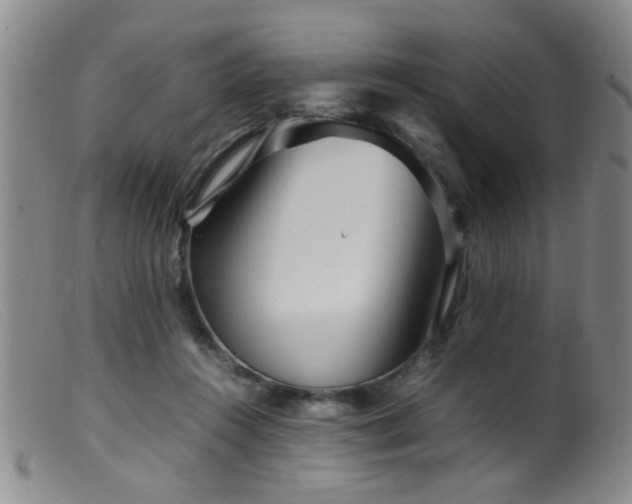 X0000099460360200805161052