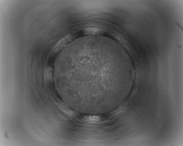 X0000099460361200805161052