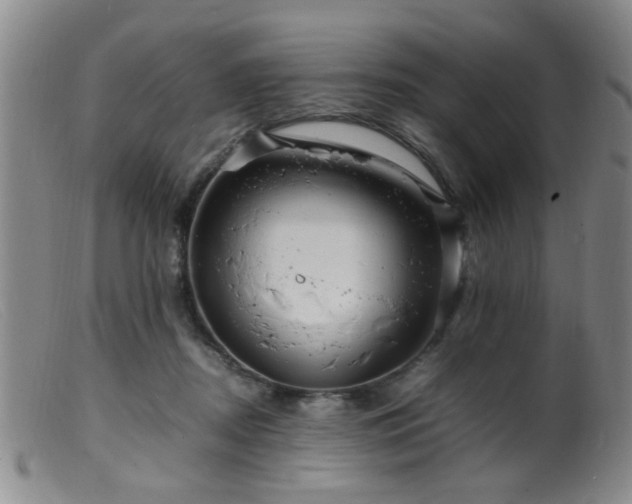 X0000099460362200805161052