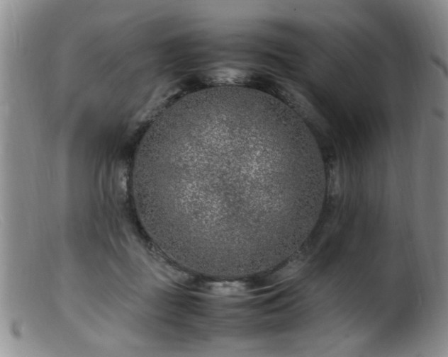 X0000099460363200805161052