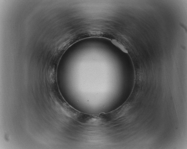 X0000099460364200805161052