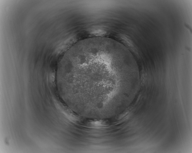 X0000099460365200805161052