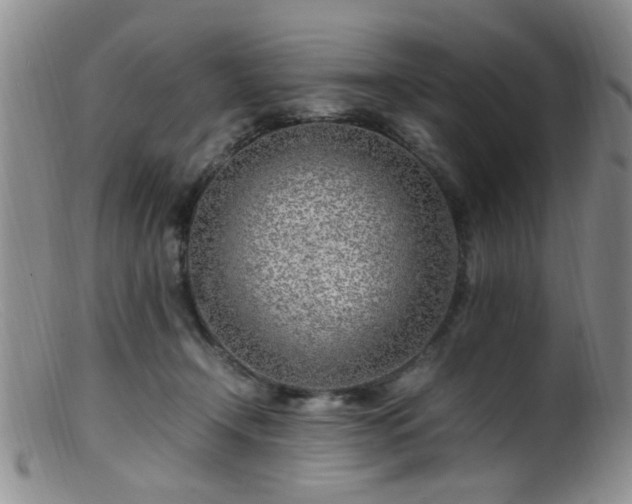 X0000099460366200805161052