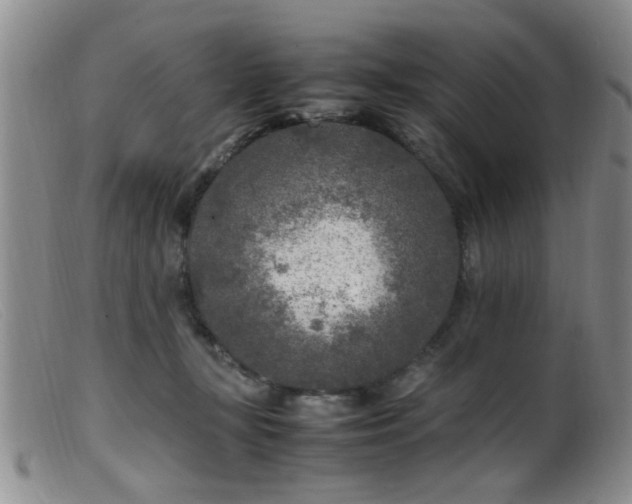 X0000099460367200805161053