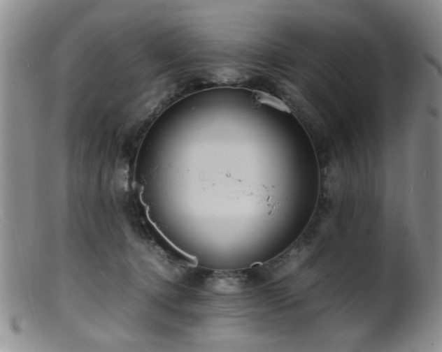 X0000099460368200805161053