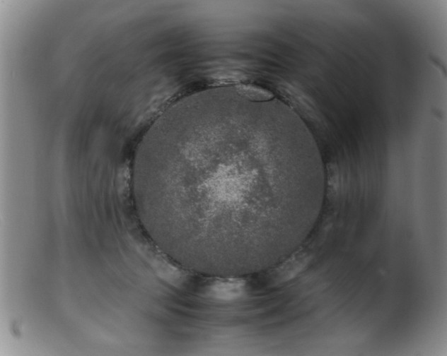 X0000099460369200805161053