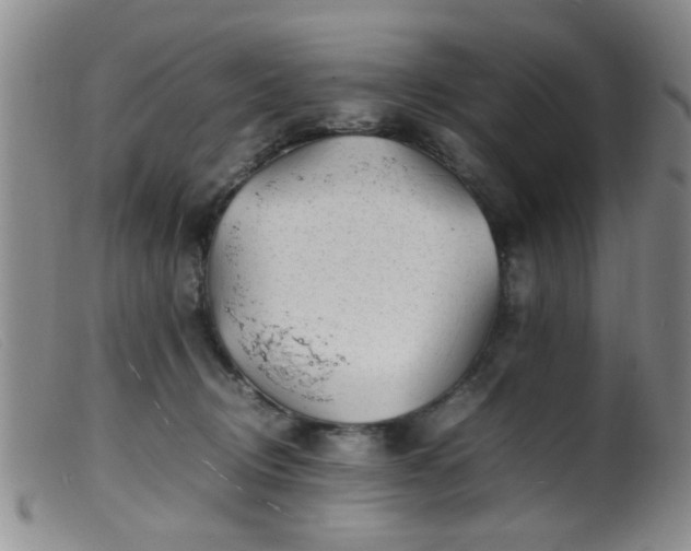 X0000099460370200805161053