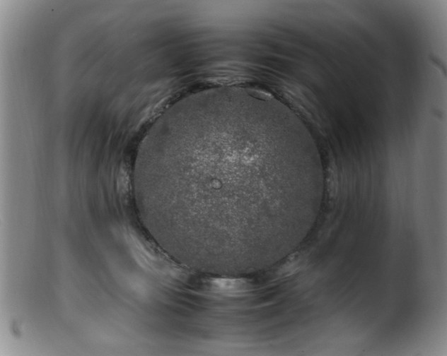 X0000099460371200805161053