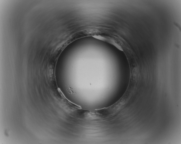 X0000099460372200805161053