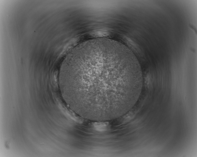 X0000099460373200805161053