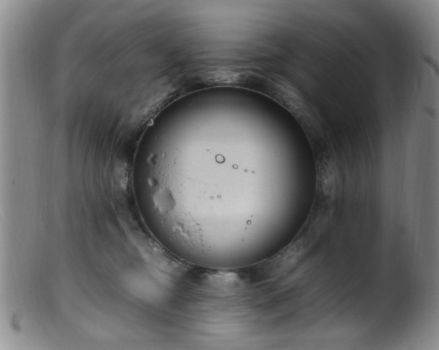 X0000099460374200805161053