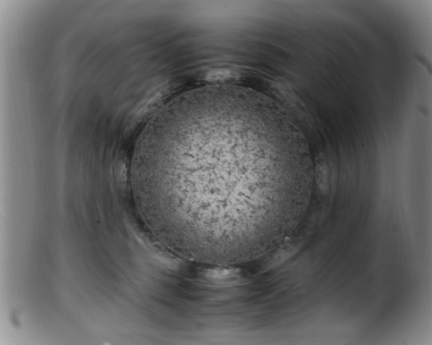 X0000099460375200805161053