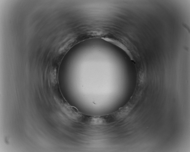 X0000099460376200805161053