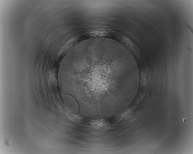 X0000099460377200805161053