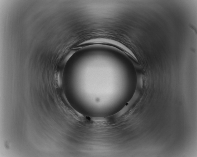 X0000099460378200805161053