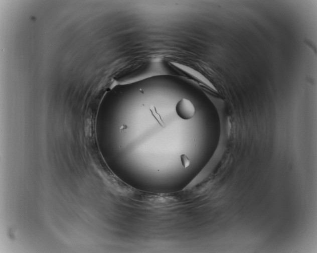 X0000099460379200805161053